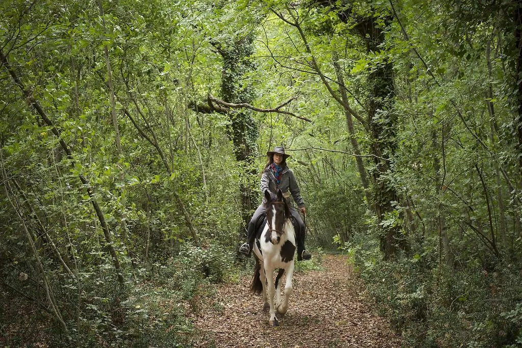 Farm stay Borgo Pignano Tuscany